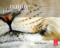 صورة الغلاف: Nature Photography: Insider Secrets from the World's Top Digital Photography Professionals 1st edition 9781138472303
