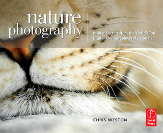 Cover image: Nature Photography: Insider Secrets from the World’s Top Digital Photography Professionals 1st edition 9781138472303