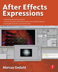 表紙画像: After Effects Expressions 1st edition 9780240809366