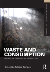Omslagafbeelding: Waste and Consumption 1st edition 9780415892100