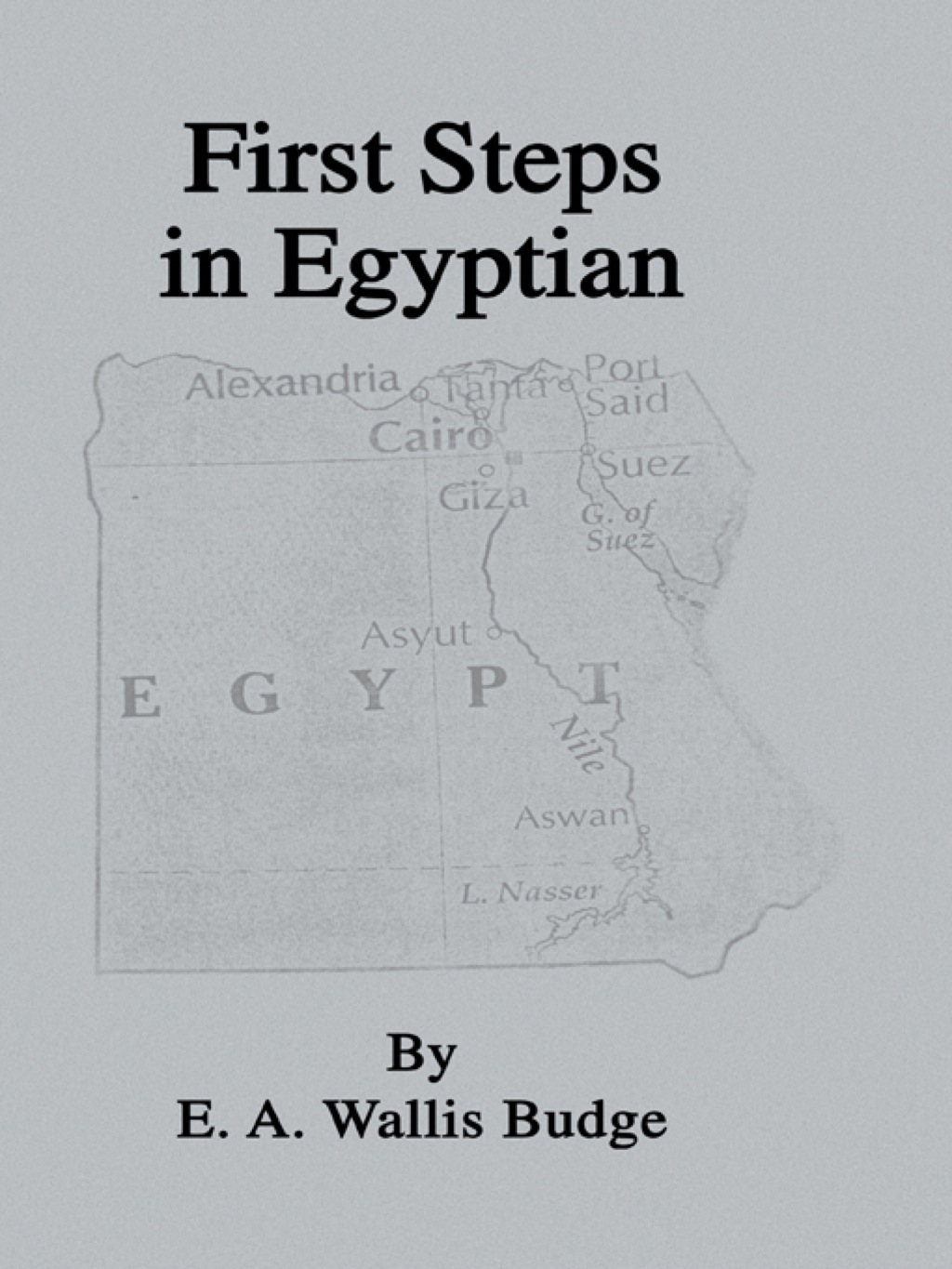 First Steps In Egyptian 1st Edition