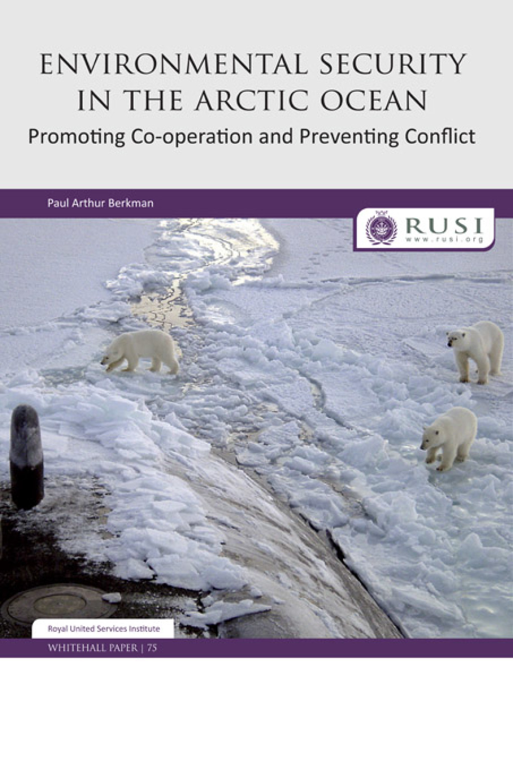 Environmental Security in the Arctic Ocean Promoting Co-operation and Preventing Conflict 1st Edition