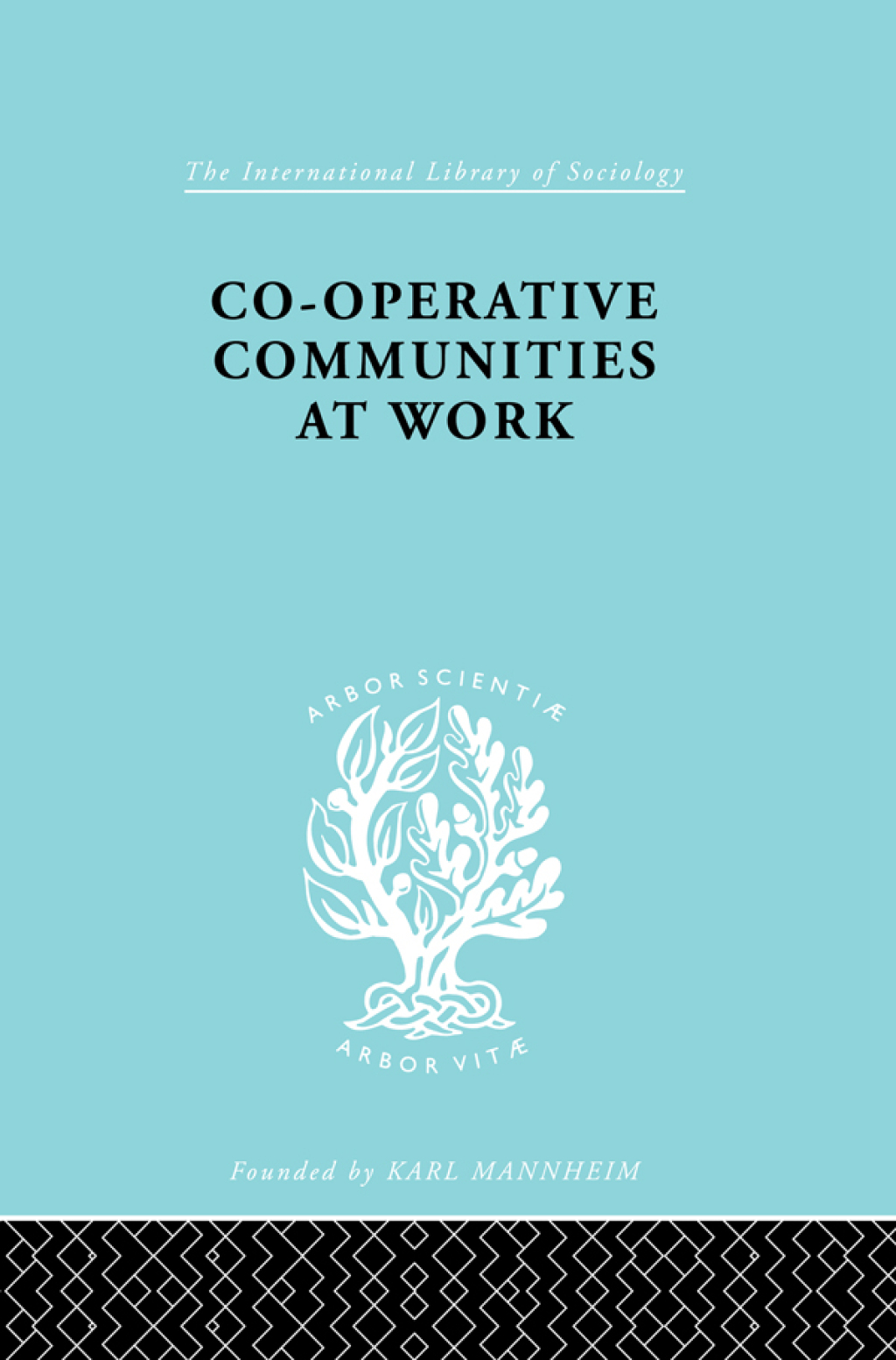 Co-Operative Communities at Work 1st Edition