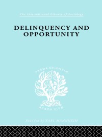 Imagen de portada: Delinquency and Opportunity 1st edition 9780415510394