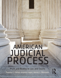Imagen de portada: American Judicial Process 1st edition 9781138647350