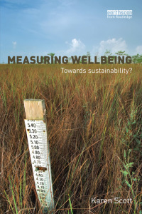 Cover image: Measuring Wellbeing: Towards Sustainability? 1st edition 9781849714631