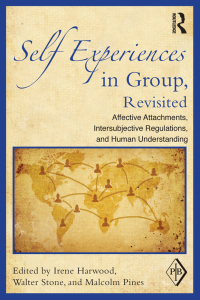 Omslagafbeelding: Self Experiences in Group, Revisited 1st edition 9780415899444
