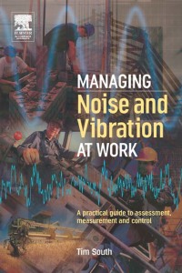 Omslagafbeelding: Managing Noise and Vibration at Work 1st edition 9781138177994