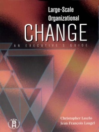 Imagen de portada: Large-Scale Organizational Change 1st edition 9781138456044