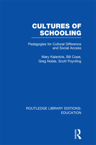 表紙画像: Cultures of Schooling (RLE Edu L Sociology of Education) 1st edition 9780415504393