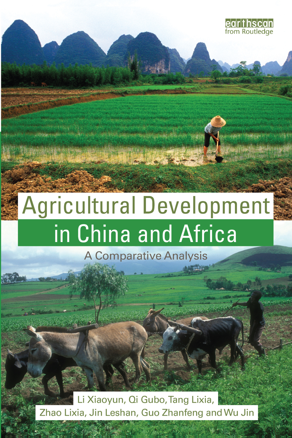 Agricultural Development in China and Africa A Comparative Analysis 1st Edition