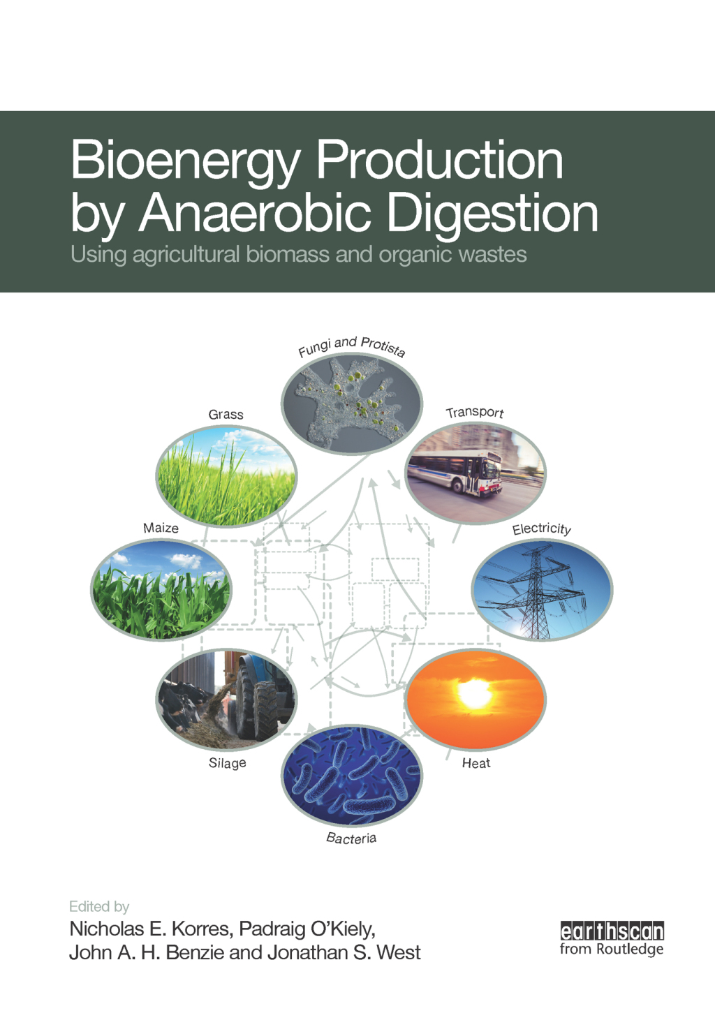 Bioenergy Production by Anaerobic Digestion Using Agricultural Biomass and Organic Wastes 1st Edition