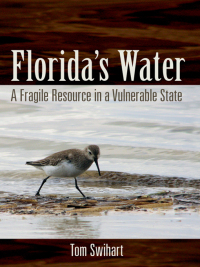 Cover image: Florida's Water 1st edition 9781617260933