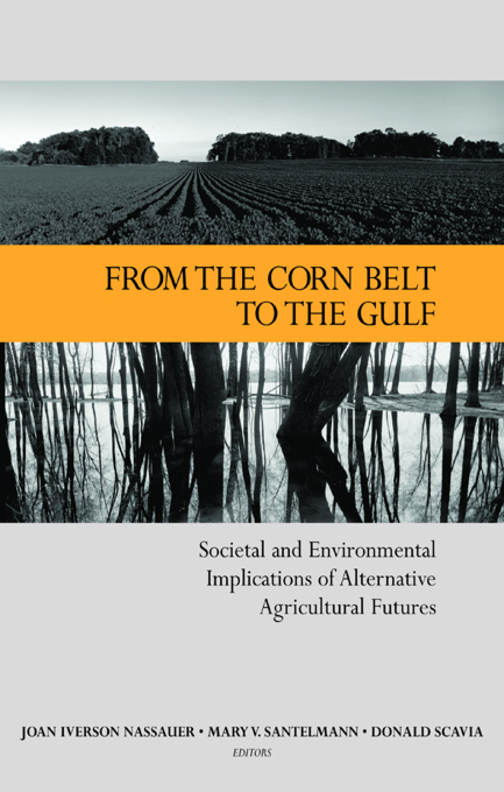 From the Corn Belt to the Gulf Societal and Environmental Implications of Alternative Agricultural Futures 1st Edition