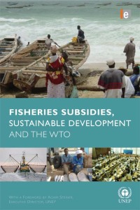 Cover image: Fisheries Subsidies, Sustainable Development and the WTO 1st edition 9781138974340