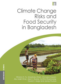 Imagen de portada: Climate Change Risks and Food Security in Bangladesh 1st edition 9781138970908