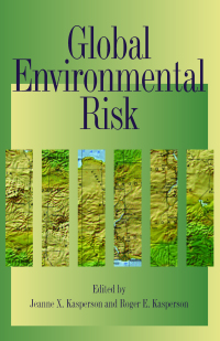 Cover image: Global Environmental Risk 1st edition 9781853838019