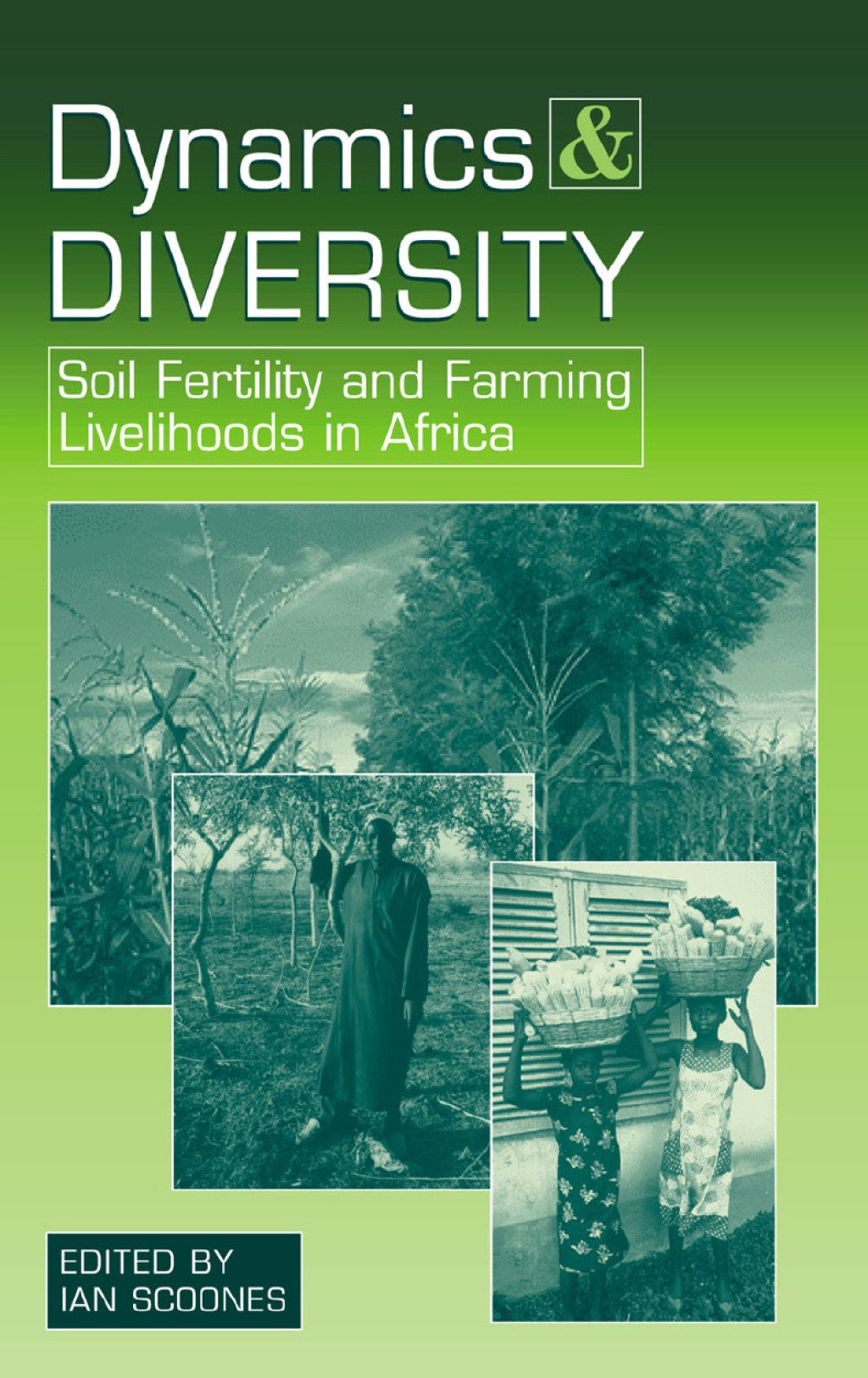 Dynamics and Diversity Soil Fertility and Farming Livelihoods in Africa 1st Edition