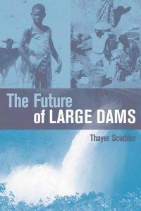 Omslagafbeelding: The Future of Large Dams 1st edition 9781844073382