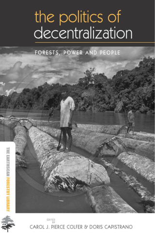Immagine di copertina: The Politics of Decentralization 1st edition 9781138995109