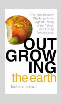 Cover image: Outgrowing the Earth 1st edition 9781138380103