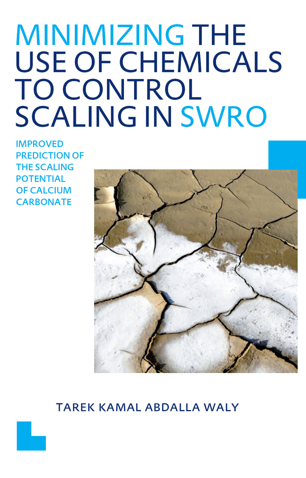 Minimizing the Use of Chemicals to Control Scaling in Sea Water Reverse Osmosis: Improved Prediction of the Scaling Potential of Calcium Carbonate UNESCO-IHE PhD Thesis 1st Edition