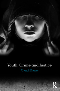 Imagen de portada: Youth, Crime and Justice 1st edition 9780415781237