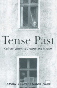 表紙画像: Tense Past 1st edition 9780415915625