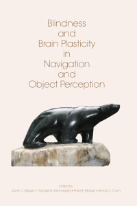 Omslagafbeelding: Blindness and Brain Plasticity in Navigation and Object Perception 1st edition 9780805855517