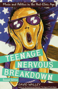 Cover image: Teenage Nervous Breakdown 1st edition 9780415978576