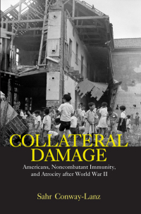 Cover image: Collateral Damage 1st edition 9780415978286