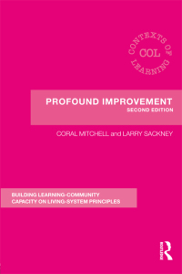 صورة الغلاف: Profound Improvement 2nd edition 9780415589239