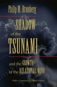 Omslagafbeelding: The Shadow of the Tsunami 1st edition 9780367606220