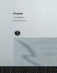 Omslagafbeelding: Punjabi 1st edition 9780415589932
