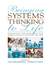 Imagen de portada: Bringing Systems Thinking to Life 1st edition 9780415800464