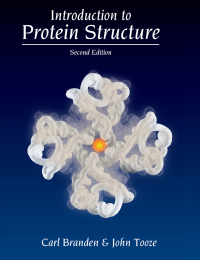 Cover image: Introduction to Protein Structure 2nd edition 9780815323044