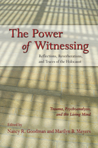 Cover image: The Power of Witnessing 1st edition 9780415879026