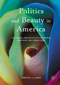 صورة الغلاف: Politics and Beauty in America 9781137020888