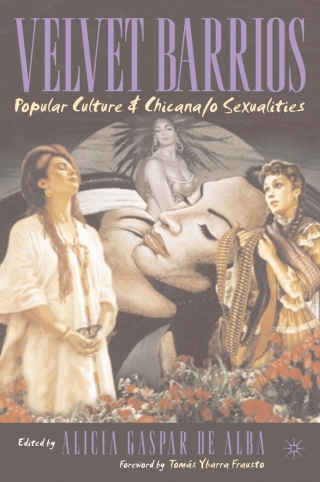 Cover image: Velvet Barrios 1st edition 9781137042699