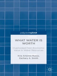Imagen de portada: What Water Is Worth: Overlooked Non-Economic Value in Water Resources 9780230340763