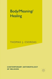 Cover image: Body, Meaning, Healing 9780312293918