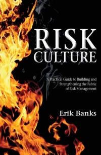 Cover image: Risk Culture 9781137263711