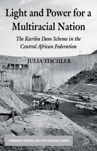 Imagen de portada: Light and Power for a Multiracial Nation 9781137268761