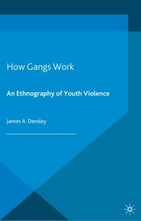 表紙画像: How Gangs Work 9781137271501