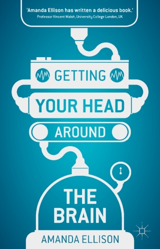 Cover image: Getting your head around the brain 1st edition 9780230298552
