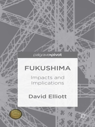 Cover image: Fukushima 9781137274328