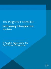 Cover image: Rethinking Introspection 9781349447671