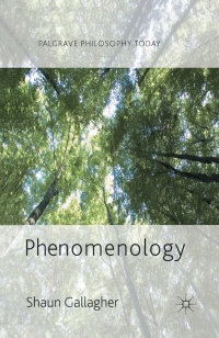 Cover image: Phenomenology 9780230272484