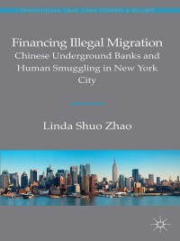 Imagen de portada: Financing Illegal Migration 9781137290892