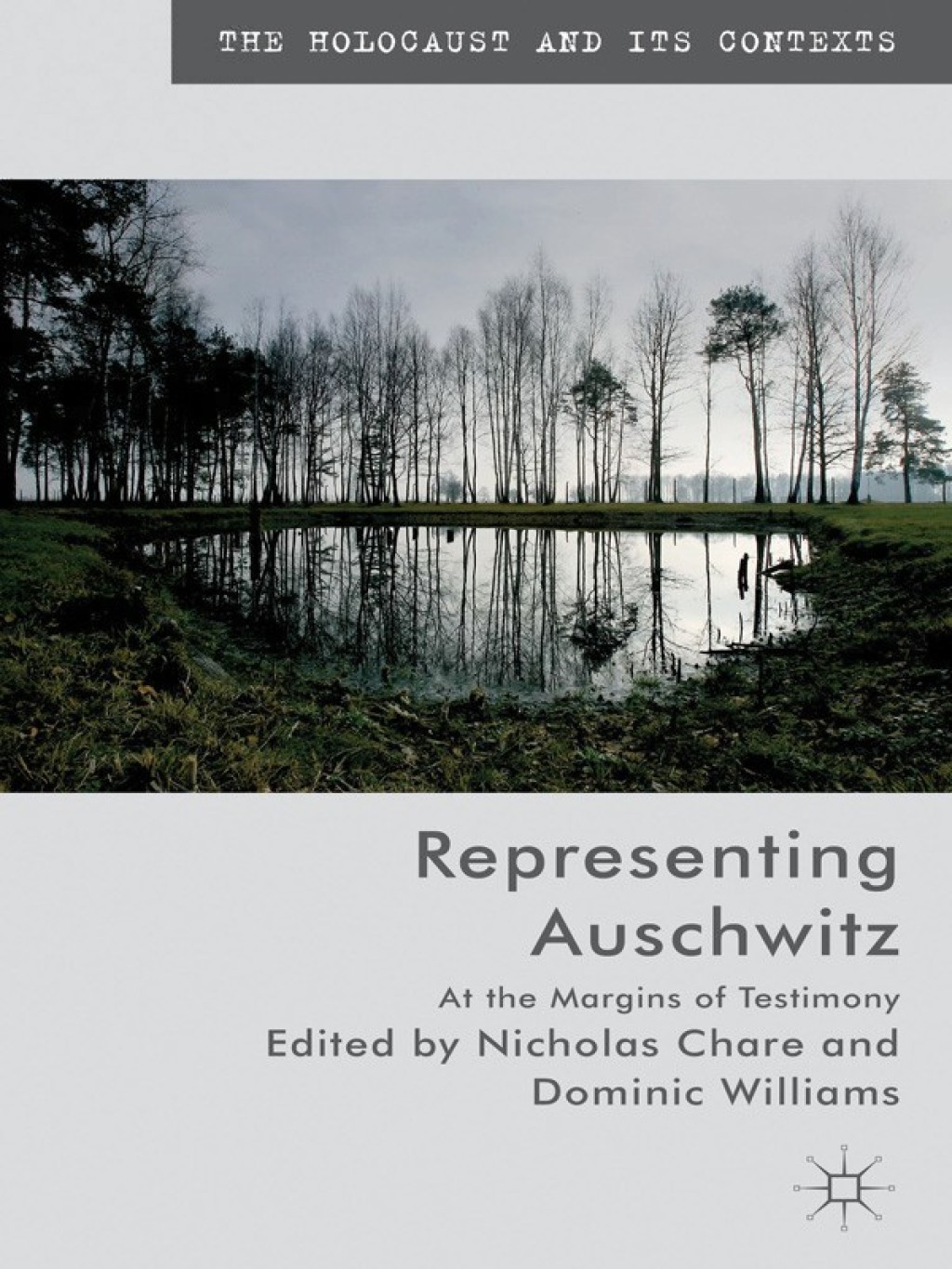 Representing Auschwitz At the Margins of Testimony